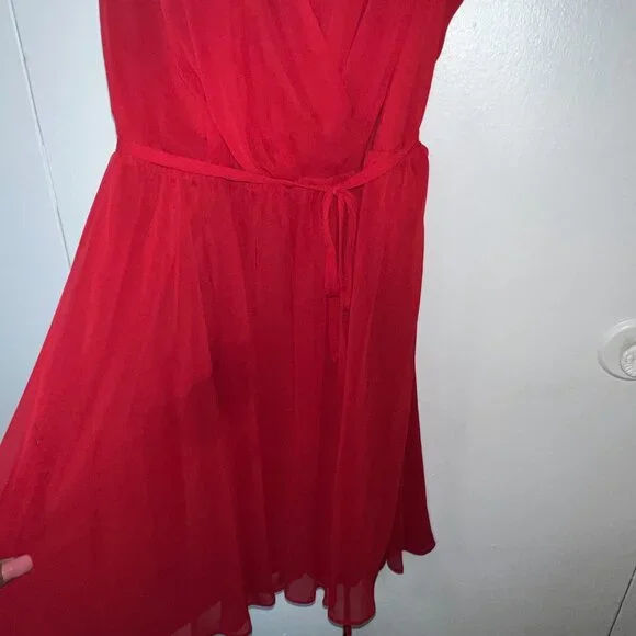 Beautiful Boston Proper Sassy Red Dress V neck pleaded Size 18 - Picture 3 of 5
